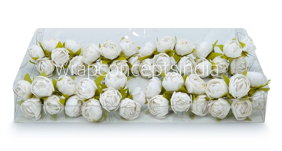 White Close Peony