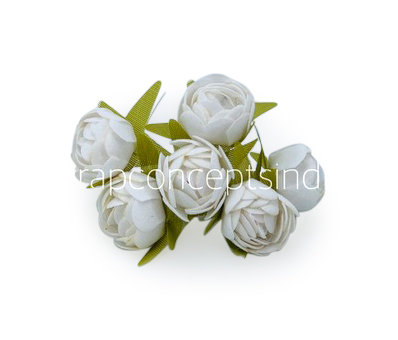 White Close Peony