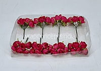 Small Close Peony - Fuchsia Pink