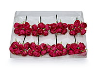 Small Close Peony - Fuchsia Pink