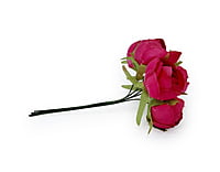 Small Close Peony - Fuchsia Pink