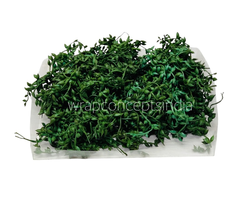 Green Cascade Succulent (Pack of 30 pcs)