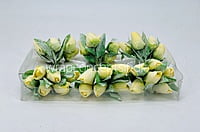 Lemon Tulip Buds on Stick