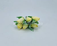 Lemon Tulip Buds on Stick