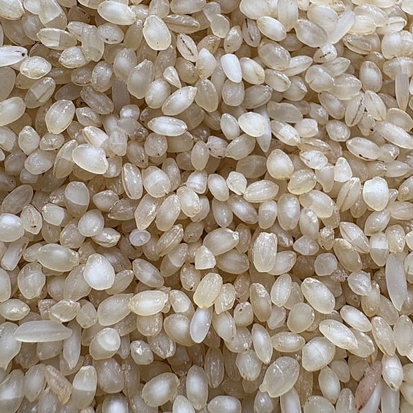 Milagu Samba