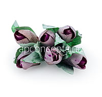 Dusky Mauve Tulip Buds on Stick