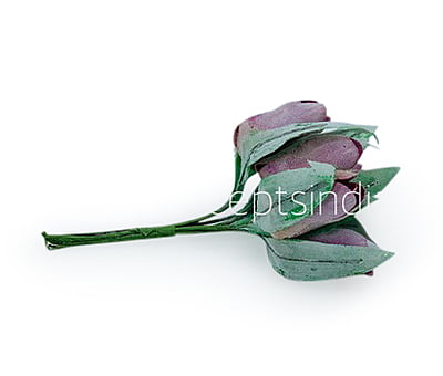 Dusky Mauve Tulip Buds on Stick