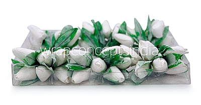 White Tulip Buds on Stick