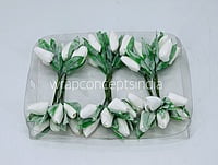 White Tulip Buds on Stick