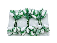 White Tulip Buds on Stick