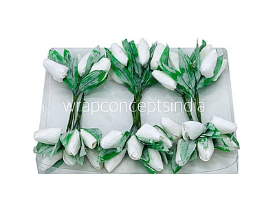 White Tulip Buds on Stick