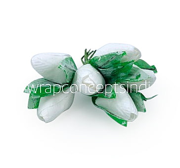 White Tulip Buds on Stick