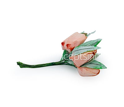 Deep Carrot Tulip Buds on Stick