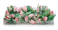 Pink Tulip Buds on Stick