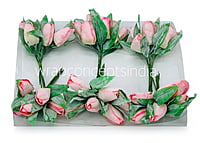 Pink Tulip Buds on Stick