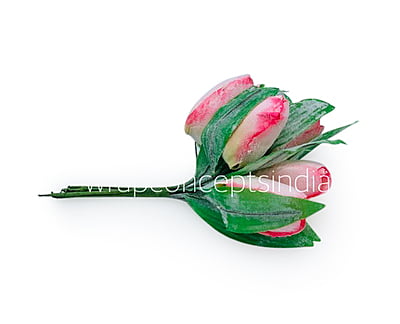 Pink Tulip Buds on Stick