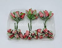 Amaranth Tulip Buds on Stick