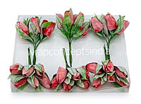 Amaranth Tulip Buds on Stick