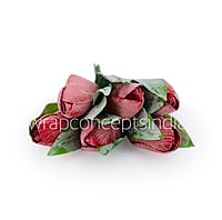 Amaranth Tulip Buds on Stick