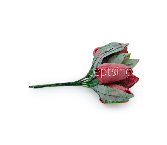 Amaranth Tulip Buds on Stick