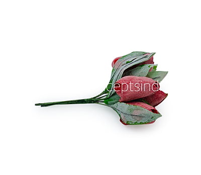 Amaranth Tulip Buds on Stick