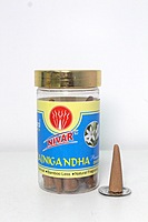 Rajnigandha (Cones)