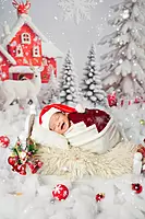 Snowflake Forest (PRE-ORDER)
