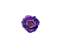 Amethyst Purple & Blue Rose Floral Heads