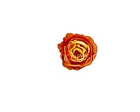 Sunset Orange & Yellow Rose Floral Heads