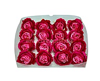 Two-Tone Pink Rose Floral Heads