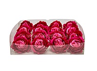 Two-Tone Pink Rose Floral Heads