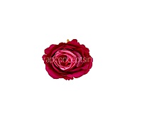Two-Tone Pink Rose Floral Heads