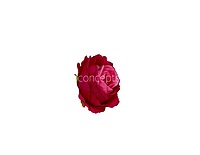 Two-Tone Pink Rose Floral Heads