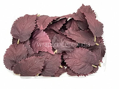Burgundy Leaves
