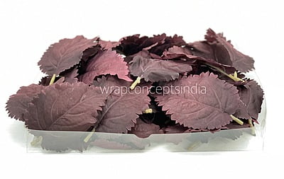 Burgundy Leaves