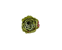 Meadow Green Rose Floral Heads
