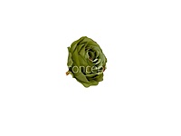 Meadow Green Rose Floral Heads