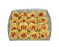 Lemon & Peach Rose Floral Heads