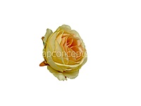 Lemon & Peach Rose Floral Heads