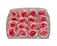 Pink & Cream Dual Rose Floral Heads