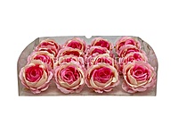 Pink & Cream Dual Rose Floral Heads