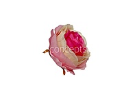 Pink & Cream Dual Rose Floral Heads