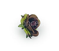 Rose Flower - Brown with hints of Green