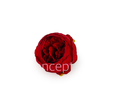 Peony - Red