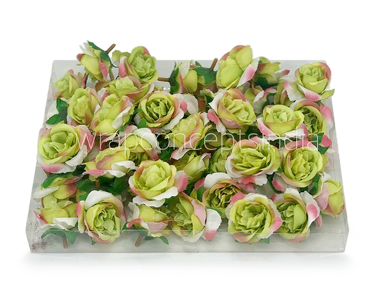 Rose Flower - Lime Green, White with hints of Pink
