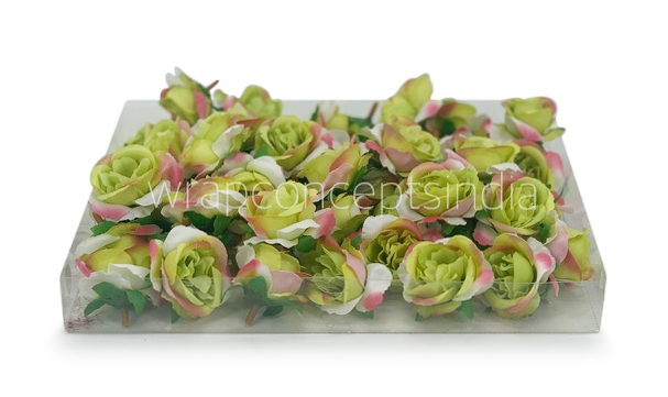 Rose Flower - Lime Green, White with hints of Pink