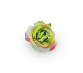 Rose Flower - Lime Green, White with hints of Pink