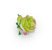Rose Flower - Lime Green, White with hints of Pink