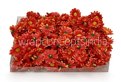 Burnt Orange Daisy Flowers