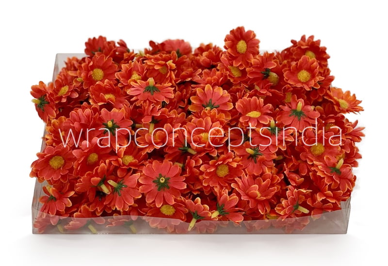 Burnt Orange Daisy Flowers